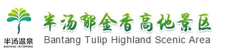 中国半汤郁金香高地景区