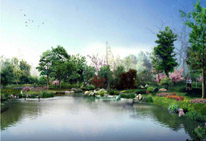 松树合唱团简介