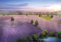 薰衣草庄园简介