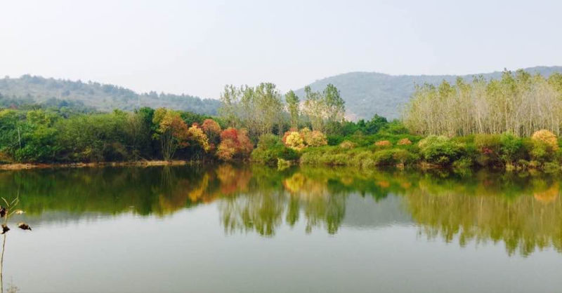 带你去看半汤温泉养生度假区的秋