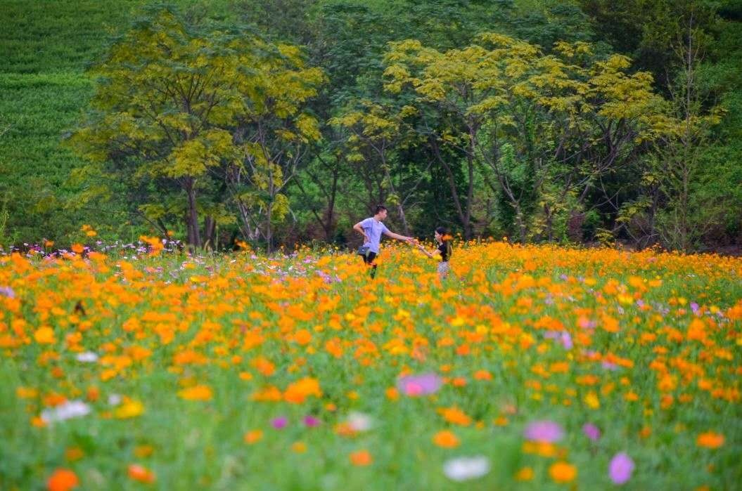 微信图片_20181021131127.jpg 微信图片_20181021131127.jpg