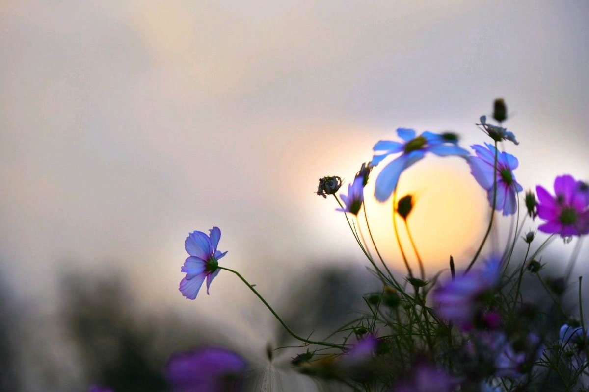 微信图片_20181021131145.jpg 微信图片_20181021131145.jpg