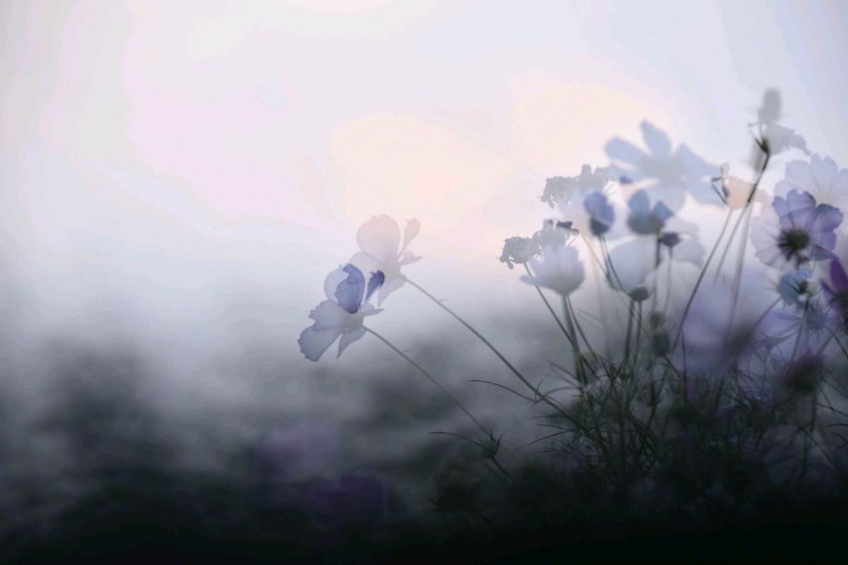 微信图片_20181021131254.jpg 微信图片_20181021131254.jpg