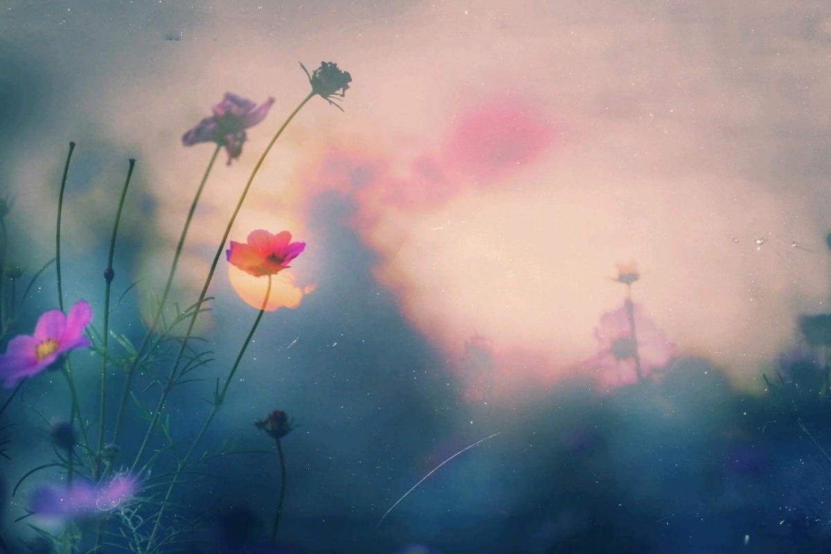 微信图片_201810211312542.jpg 微信图片_201810211312542.jpg